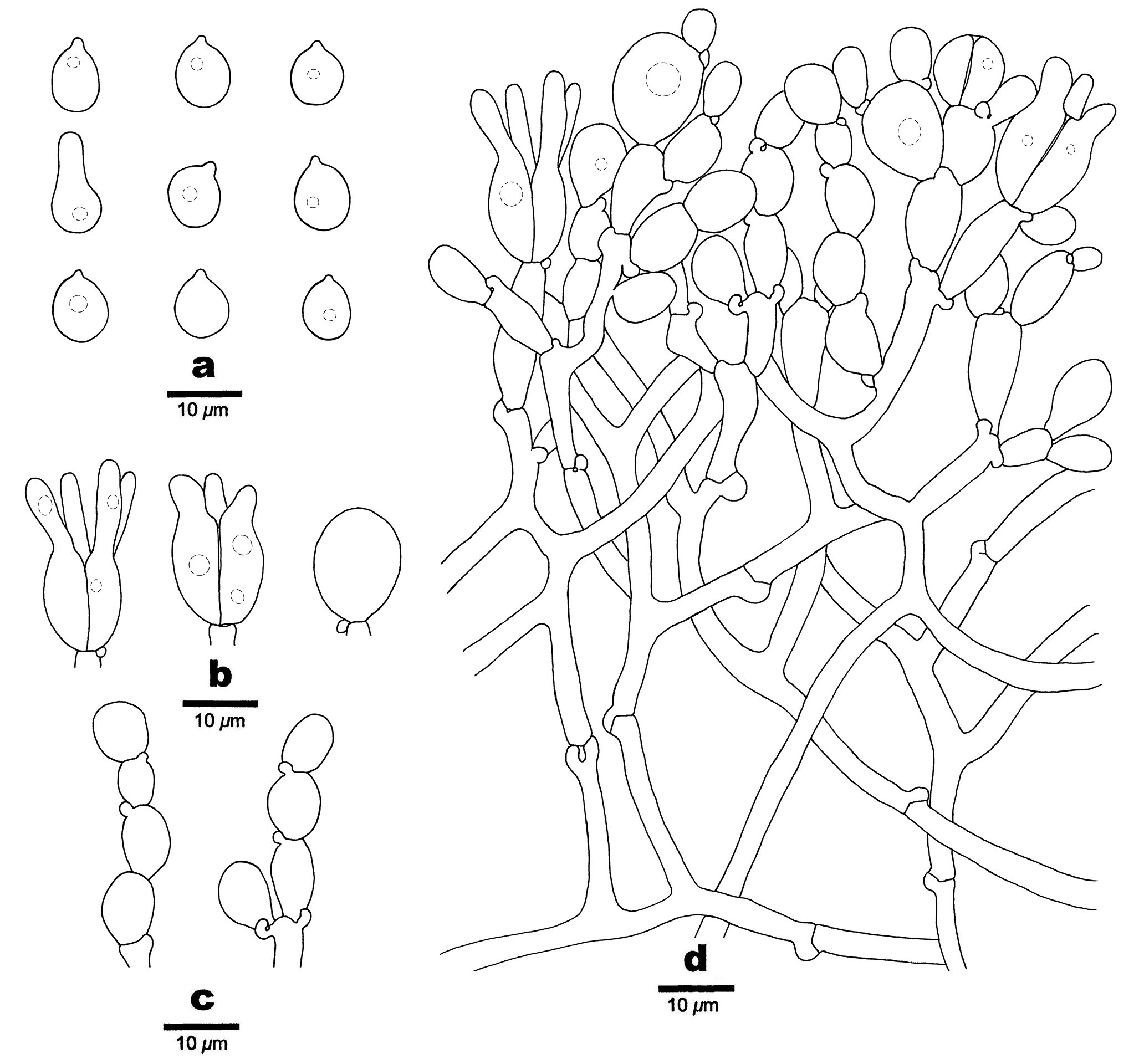 Figure 49
